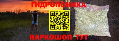 гидра Нальчик